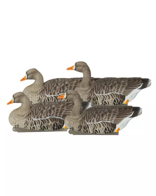 4 Pack GHG Pro Grade XD Series Specklebelly Active Floater Goose Decoys by Avery