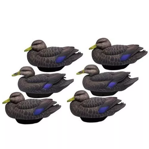 6 Pack Flex Float Black Duck Decoys by Lifetime Decoys