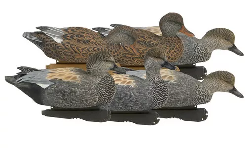 6 Pack GHG Pro Grade Gadwall Duck Decoys by Avery