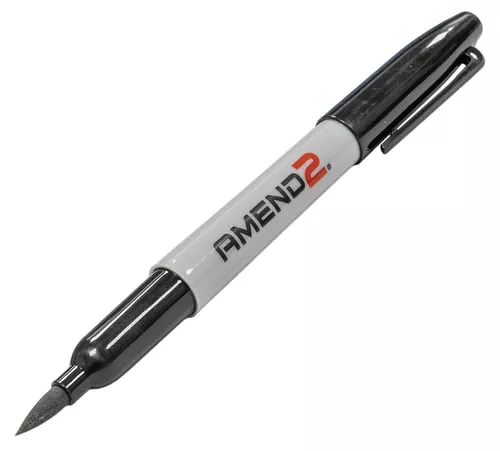 AMEND2 SELF-DEFENSE PEN