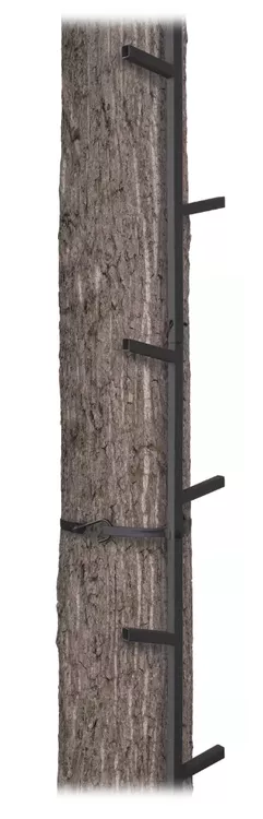 Big Game 20' Quick-Stick Climbing Stick