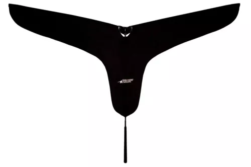 Black Hypnotizer Goose Flag by Rig Em Right