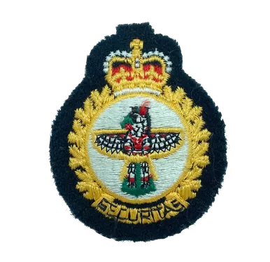 DS Tactical CF Security Branch MP Cap Badge