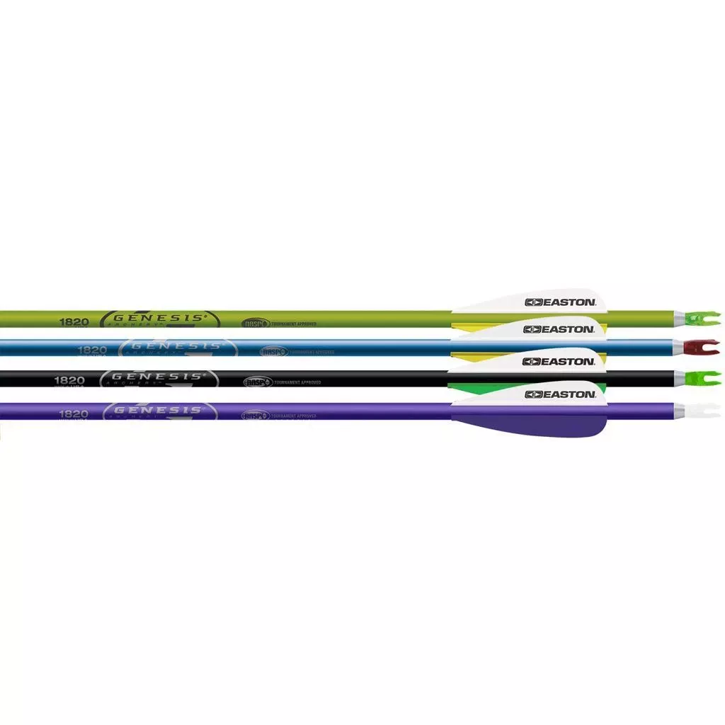 Easton XX75 Genesis 1820 Multi-Colored Archery Arrows 30" 925548