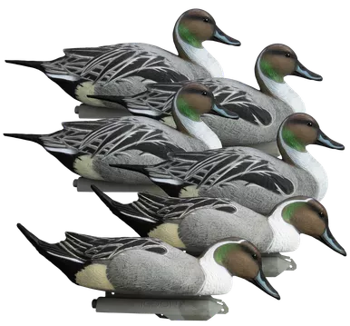 Higdon Battleship Pintail Duck Decoy 6-Pack