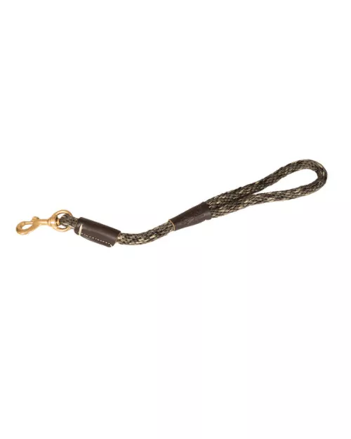 Lead Style Braided Short Snap Dog Leash by Avery