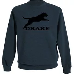 LeapingLab Sweatshirt Crew by Drake