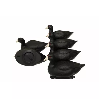 Mojo Outdoors Coot Confidence Decoy Pack 6-Pack