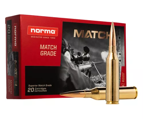 NORMA GOLDEN TARGET 300MAG 230GR BTHP 20/10
