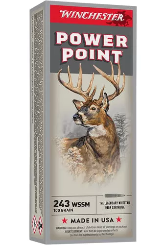 WINCHESTER SPR-X 243WSSM 100GR PP
