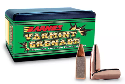 WORN BARNES 20456 .204 26G VARMINT GRENADE BUL 250